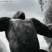 Gif animé King Kong film